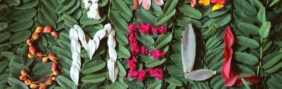 NATURE LOVE LETTERS